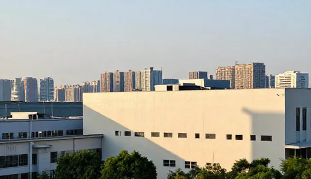 企业名录使用建议：选型关注点与维护技巧